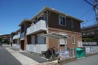 カトレアBの画像