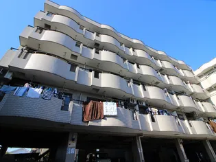 ビスターラ ティーズの画像