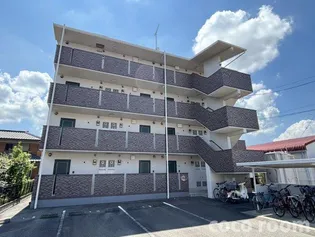 プレジールIIの画像