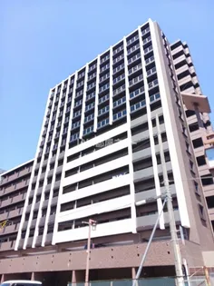 ウィングス熊手の画像