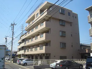 サンライズの画像