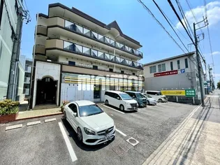 アンジェリークの画像