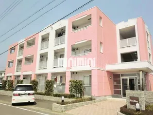 ローズマリーの画像