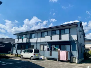 グローバルベレッチタナカCの画像