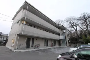 リンピアミノマの画像