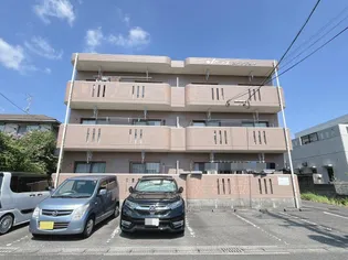 エバンジェルの画像