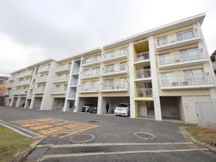 ルノアス富雄の画像