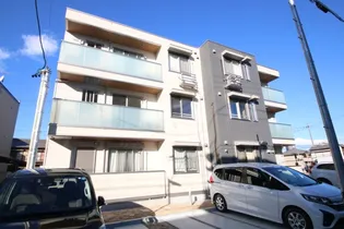 フューカストの画像