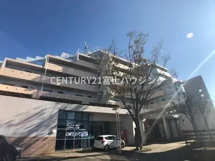 クエスタ デル ラモス2【5階】の外観