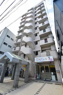 シティハイツ金屋【7階】の外観