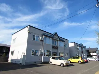 ペンタスの画像