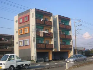 ベネボレンスの画像