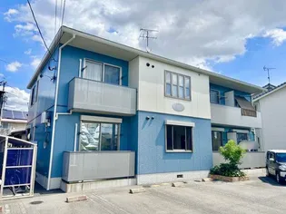 ルピナスの画像