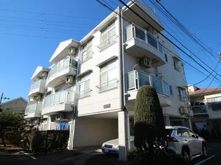 グリーンカーサIIIの画像