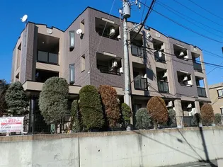 セレニーテの画像