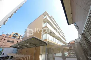 NEOグレイス綾瀬の画像