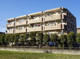 アルテールSの画像