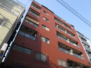 ロイヤル丸文1の画像