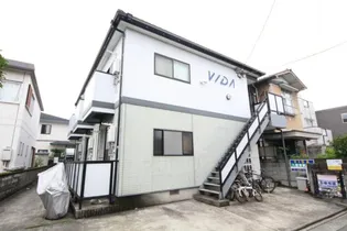 ヴィーダの画像