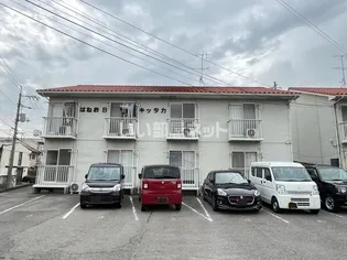 はねおキッタカBの画像