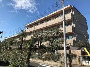 アーバン ドヌールの画像