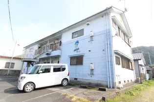 アミーゴの画像