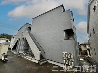 アンビエンテの画像