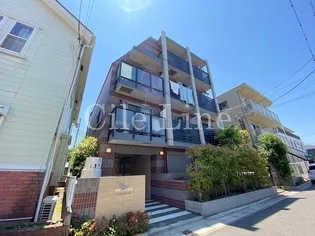 インディア グースの画像