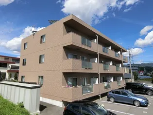 フォレスト ヴァンガードの画像