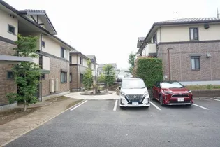 サイプレス ABCの画像