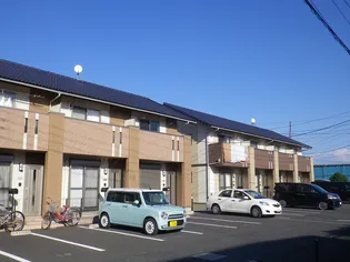 コスモス Bの画像