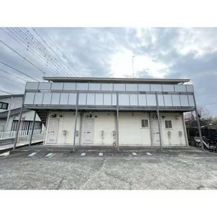 オリーブコートの画像