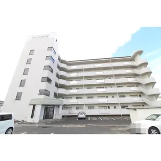 グレイス本生の画像