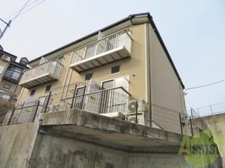 ブルーリーフ1の画像