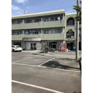 スプロートアジロの画像