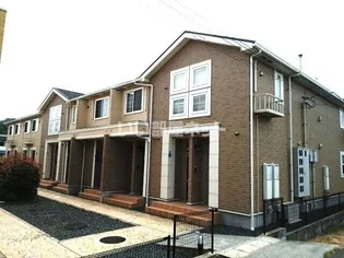 プリムローズBの画像