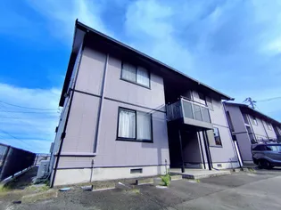 コンフォールM1の画像