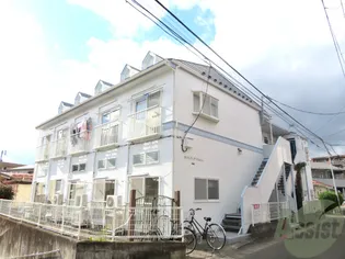 カトレアアベニューの画像