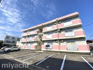 徳島県徳島市新浜本町3【マンション】の外観
