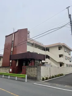 コーポ伸栄【1階】の外観