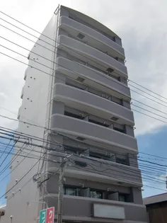 グランツ海老の画像