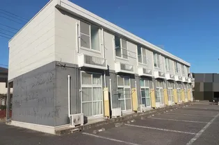 あすなろの画像