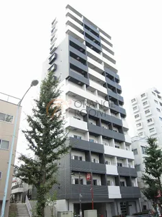 ステージグランデ文京白山【11階】の外観