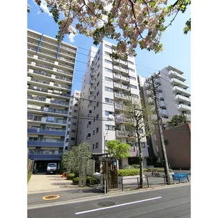 サンハイム清水の画像