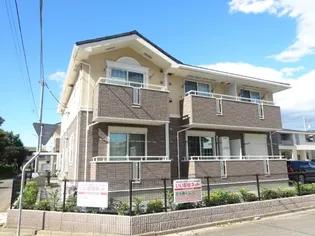 カリダーデ Dの画像