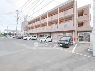 ベリータ大財の画像