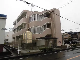 ラピュタN Sの画像