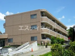 ヒルズ向イ山の画像