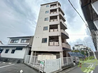 サニーグリーンの画像