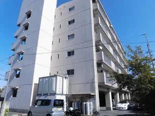 リバーサイドマツトシ【2階】の外観